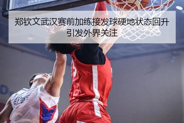 郑钦文武汉赛前加练接发球硬地状态回升引发外界关注